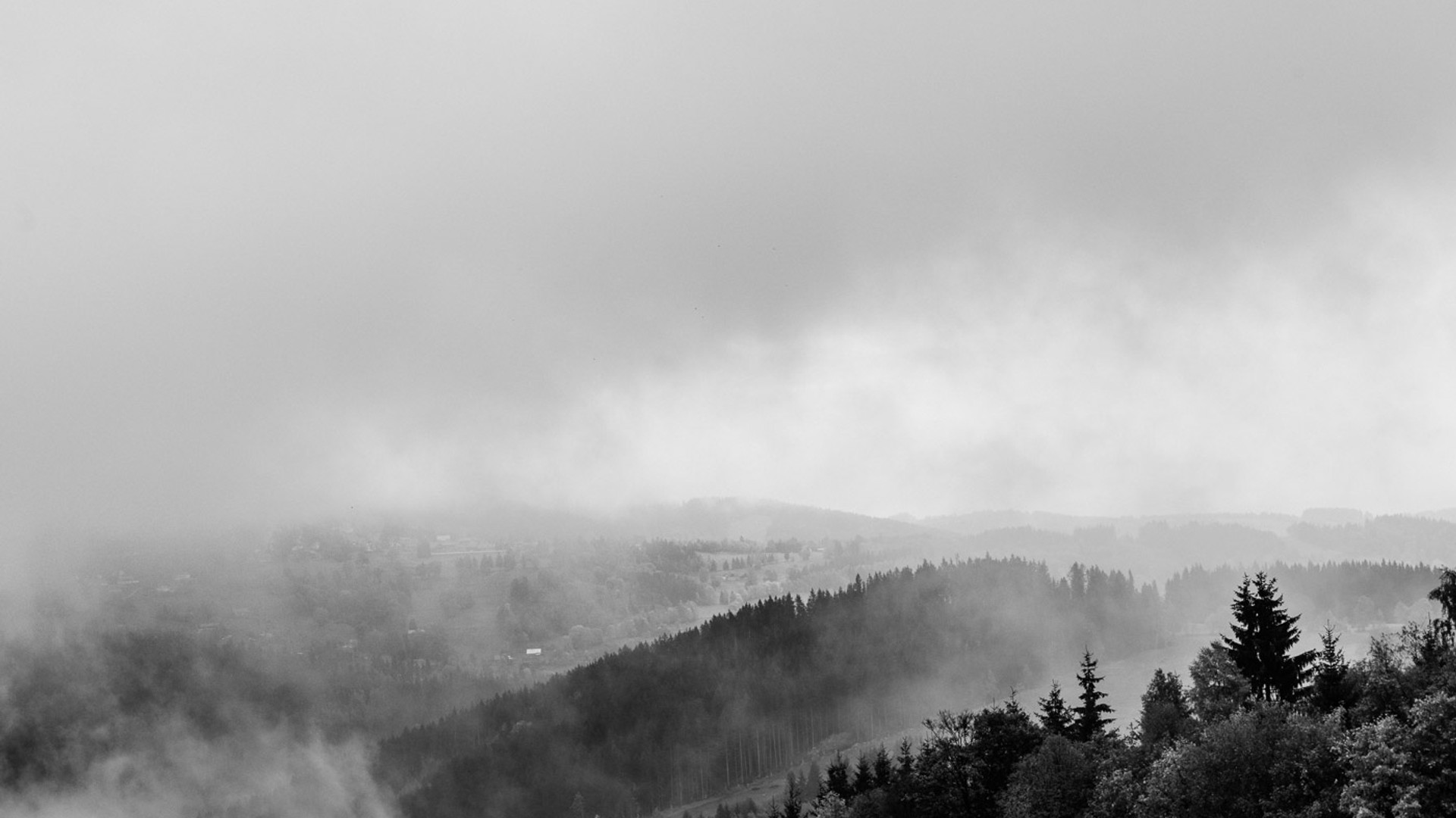 LOUTOCKY_COM_DS8_3117_exp.jpg