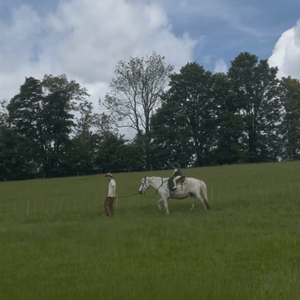 Snímek obrazovky 2025-06-03 v 22.02.31.png