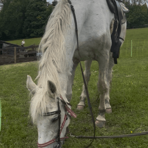 Snímek obrazovky 2025-06-03 v 22.02.03.png