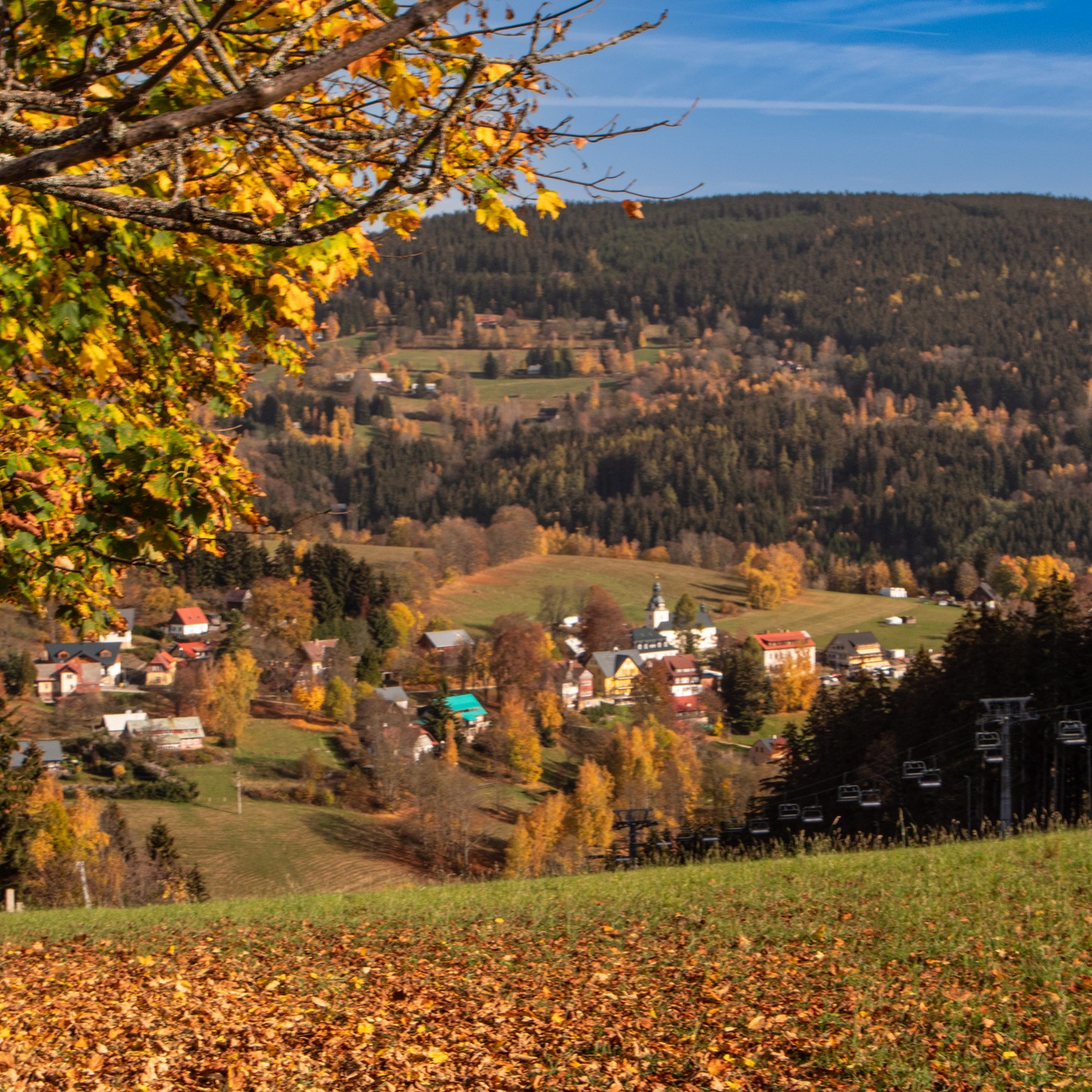ALDROV_ (51 of 61).jpg