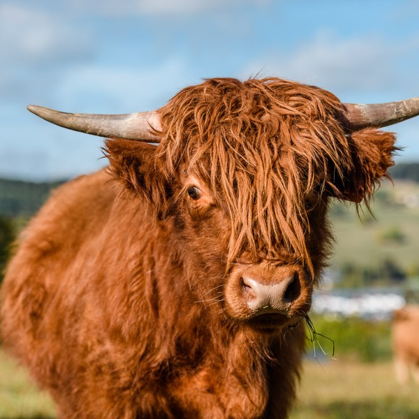 Krkonoše ubytování v apartmánech Aldrov resort