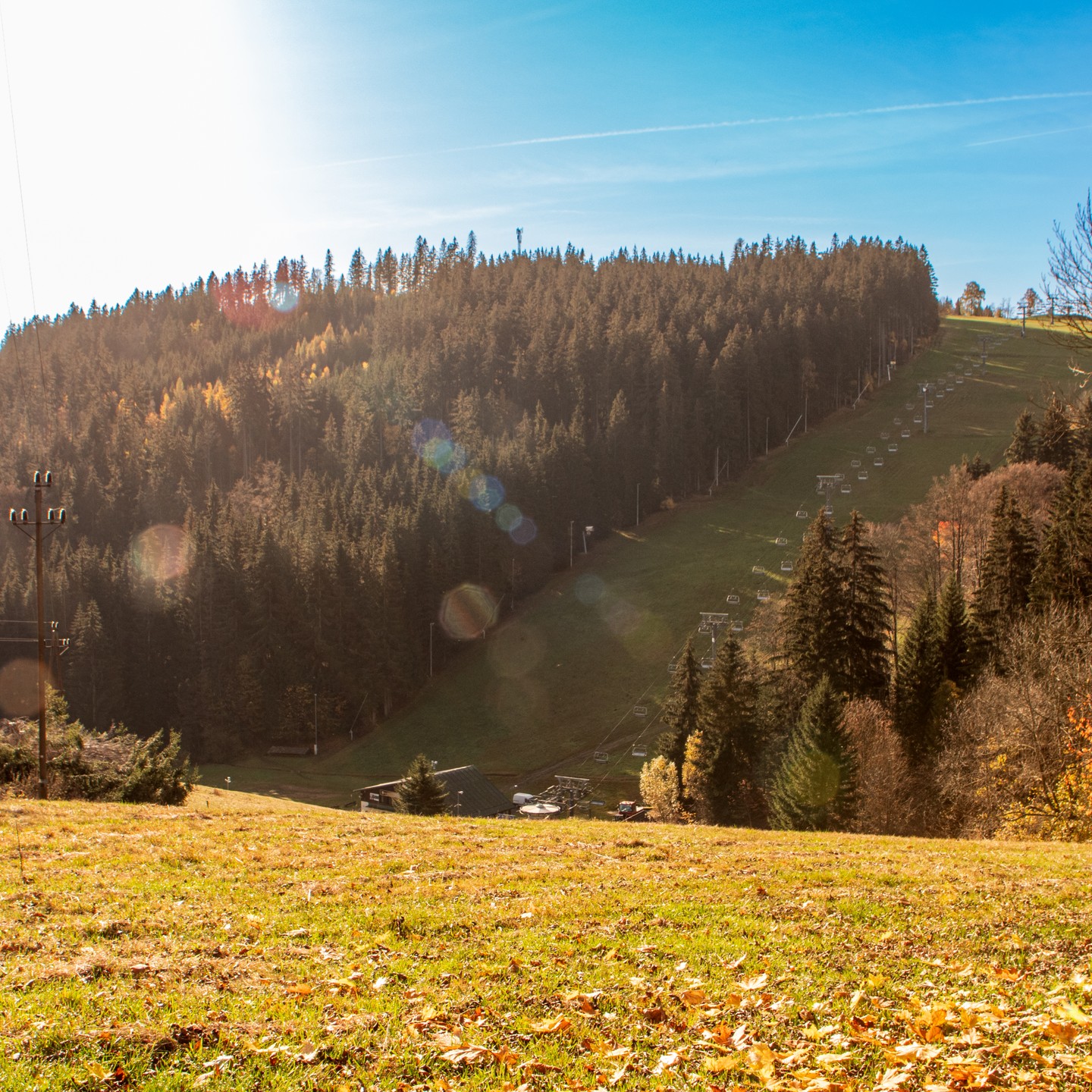 ALDROV_ (43 of 61).jpg