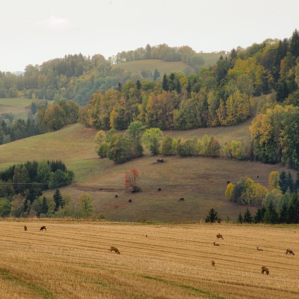 LOUTOCKY_COM_DS8_3180_HDR_exp.jpg